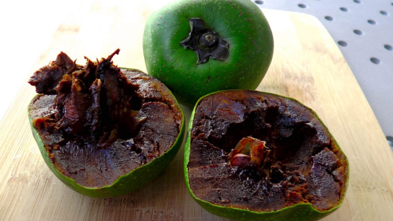 Zapote nero: frutto che sa di cioccolato