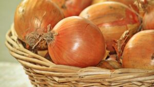 Come usare le cipolle per eliminare i parassiti come mosche, zanzare e scarafaggi