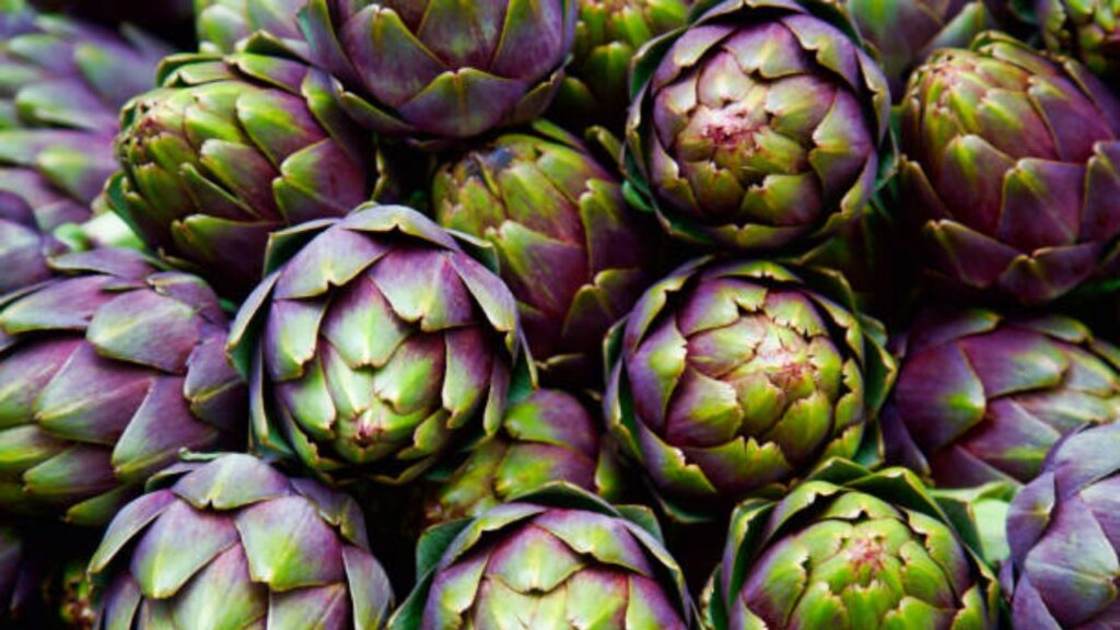 Cynara: tutto ciò che c’è da sapere su questo ortaggio