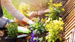 Alcune idee per trasformare il vostro giardino: dalle tecniche di taglio alle alternative all’erba