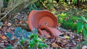 Come creare un giardino delle fate usando un vaso rotto