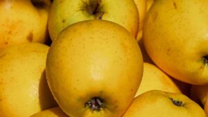 Mela Golden: tutto ciò che devi sapere su questo frutto