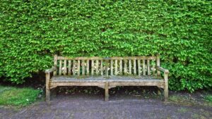 I mobili da giardino sono invasi dal muschio – come eliminarle velocemente