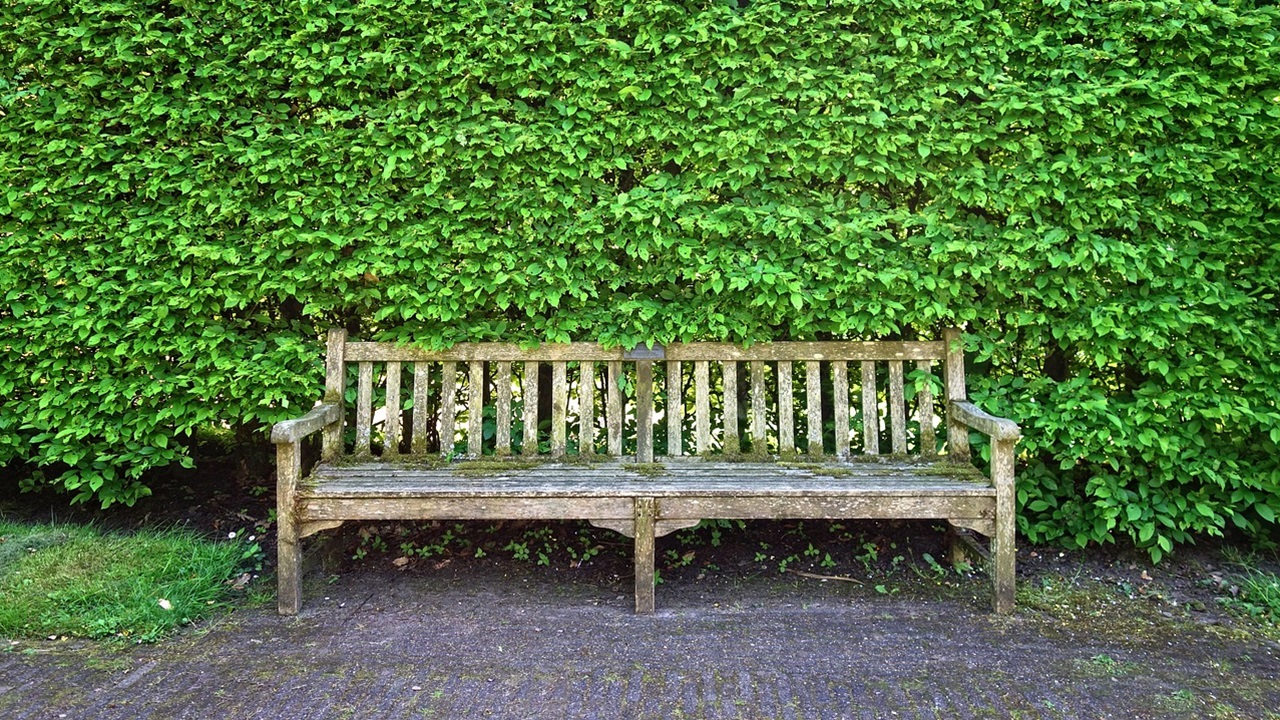 mobili giardino alghe
