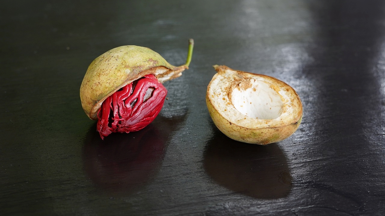 frutto per noce moscata