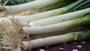 Più porri per tutti: come piantarli e come prendersene cura per avere un ottimo raccolto