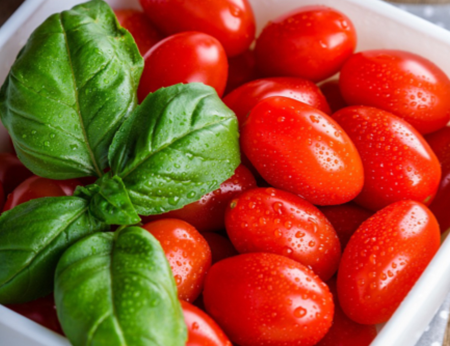 Pomodori freschi