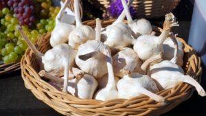 Come fare per non raccogliere troppo presto l’aglio – semplice: bisogna conoscere le fasi di crescita