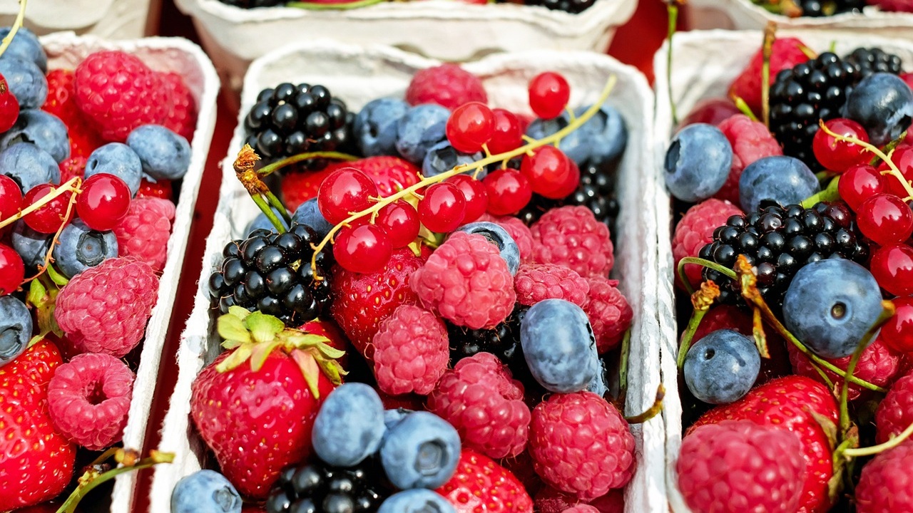 frutti bosco terreno