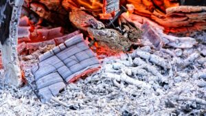 La “pozione magica” per dire addio a lumache, afidi, cocciniglie e parassiti vari