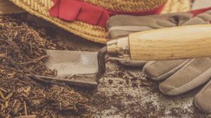 Non buttate il vecchio terriccio esausto: provate a riciclarlo così