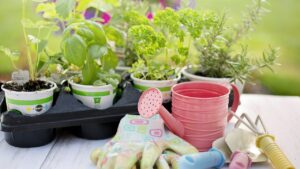 Il tuo giardino a maggio: lavori, idee e consigli pratici
