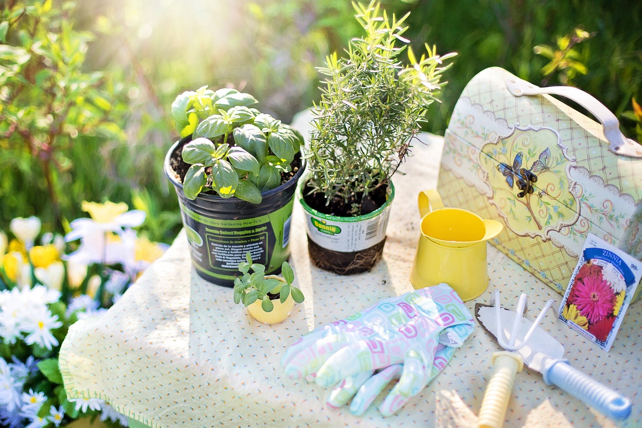 Giardino a maggio: cosa seminare