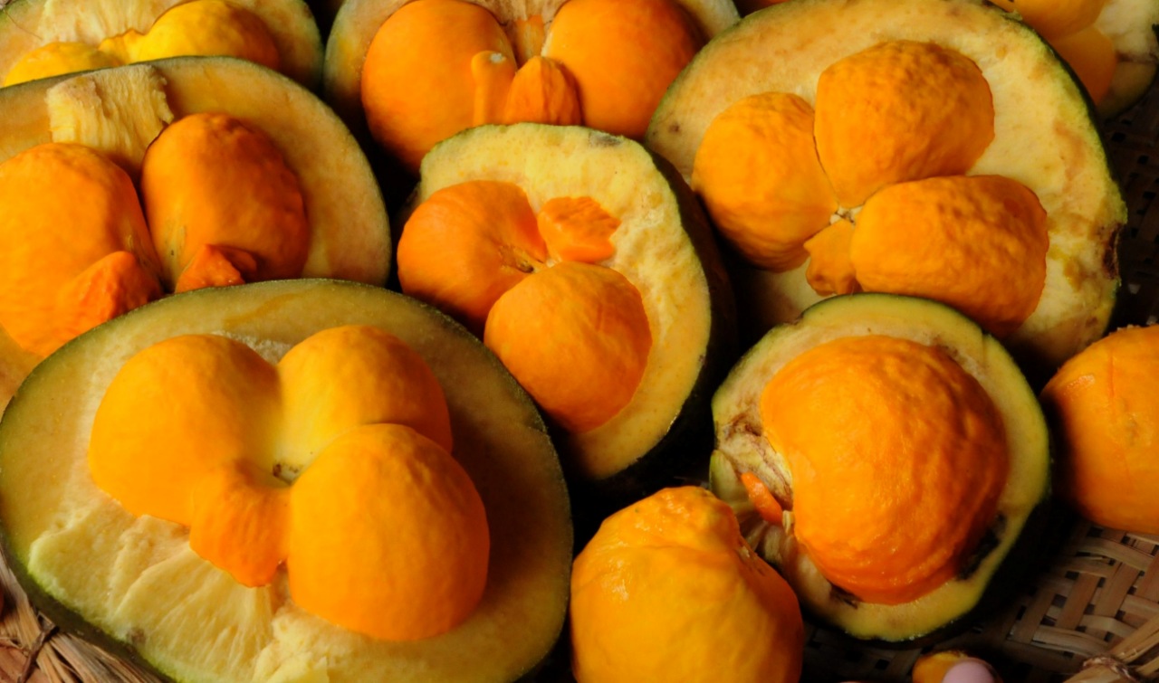 Olio di pequi: benefici del frutto