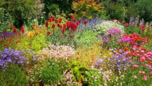 Come creare un giardino fiorito scenografico con un budget ridotto