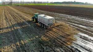 Che differenza c’è fra compost e fertilizzanti