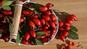 Vino di rosa canina: la ricetta che non ti aspetti