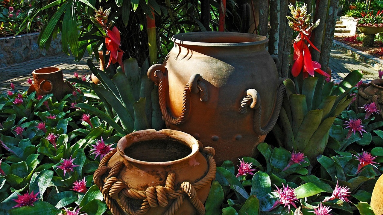 vasi terracotta