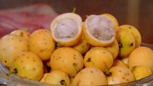 Bacuri: il frutto che unisce gusto e benessere in modo sorprendente