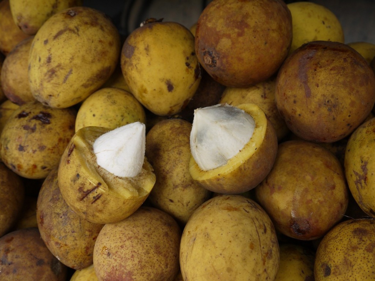 Bacuri: frutto amazzonico
