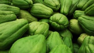 Coltivare chayote in vaso: una guida semplice per farlo crescere anche sul balcone