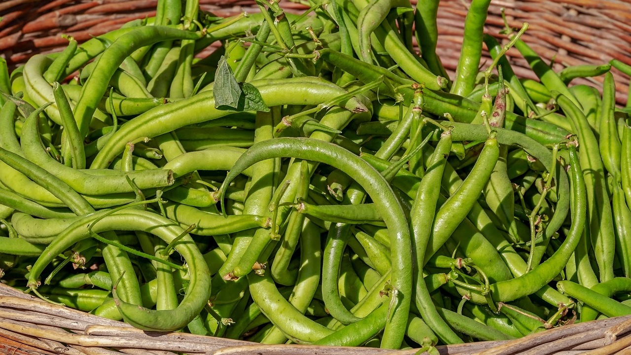 Fagiolini: come tenerli sempre freschi