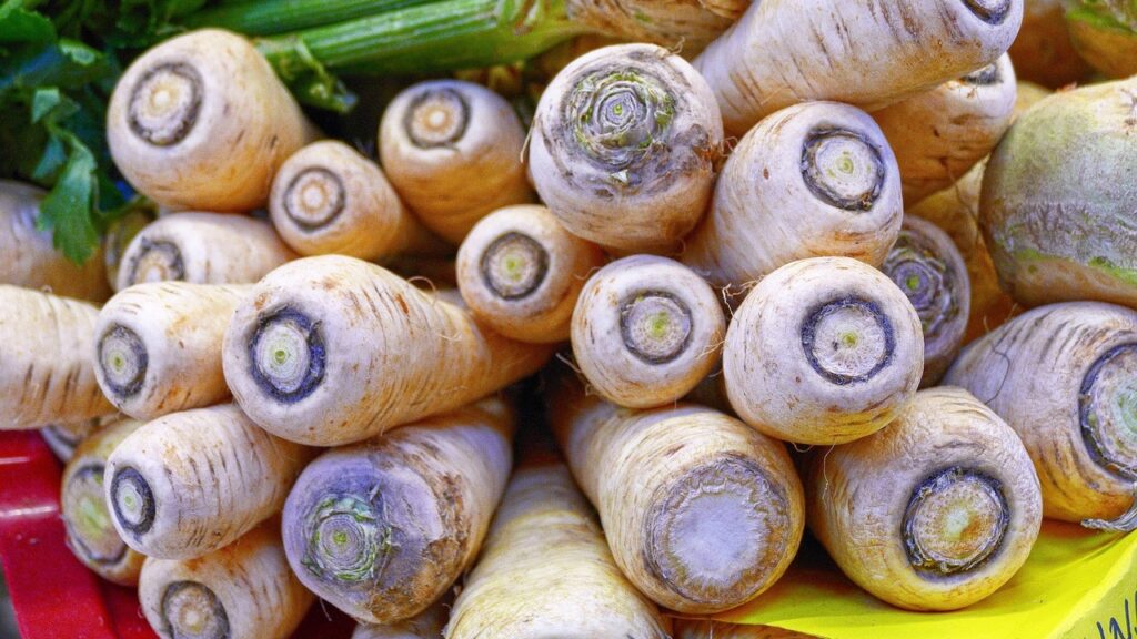 Orto estivo senza stress: 3 ortaggi che crescono anche mentre sei in vacanza