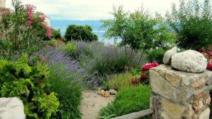 Come creare un giardino greco, la tendenza di stile di quest’anno