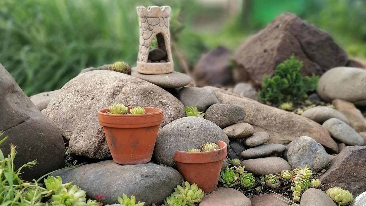 giardino roccioso