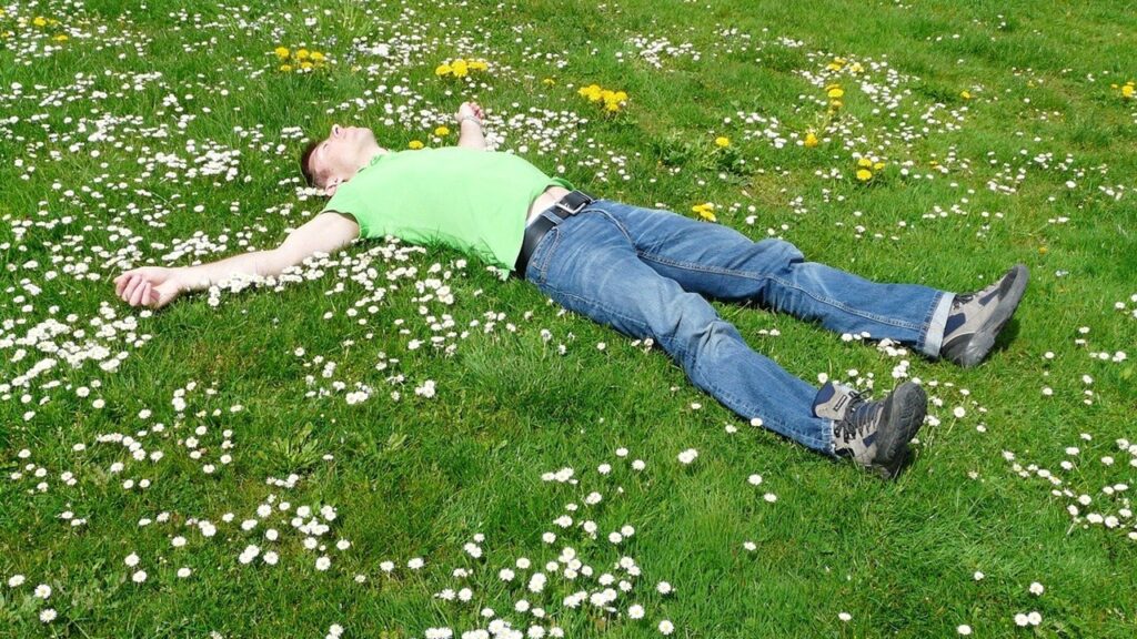 Come proteggere il prato dalle ondate di calore