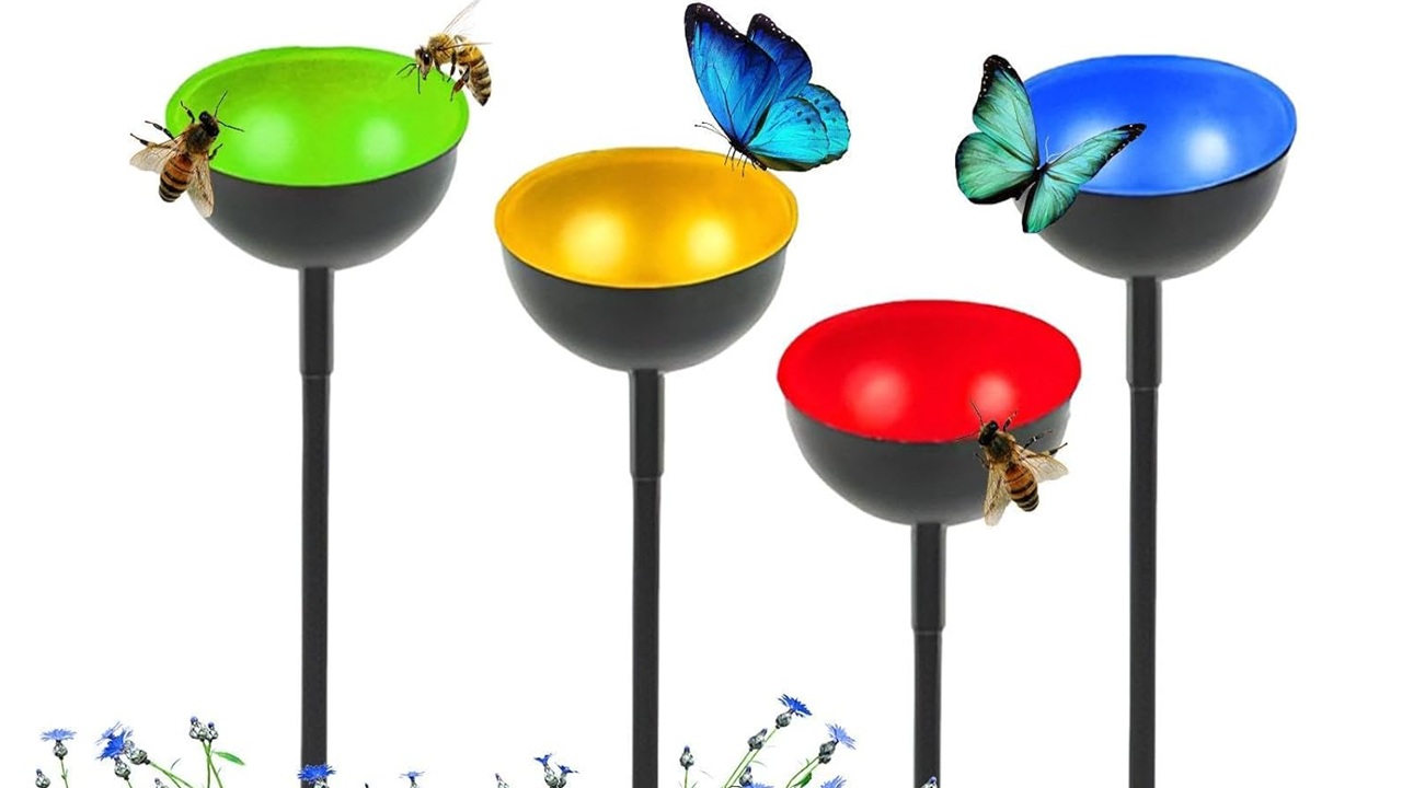 vasi impollinatori