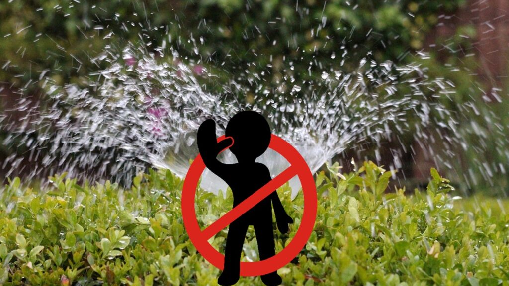 Divieto estivo di usare l’acqua? I modi alternativi per innaffiare il giardino