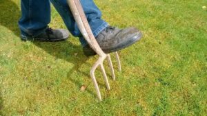 Forca da giardino: perché questo attrezzo è indispensabile per ogni giardiniere