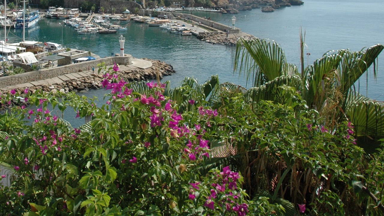 giardino mediterraneo