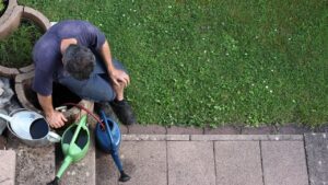 Innaffiare la sera non è sempre la cosa giusta da fare