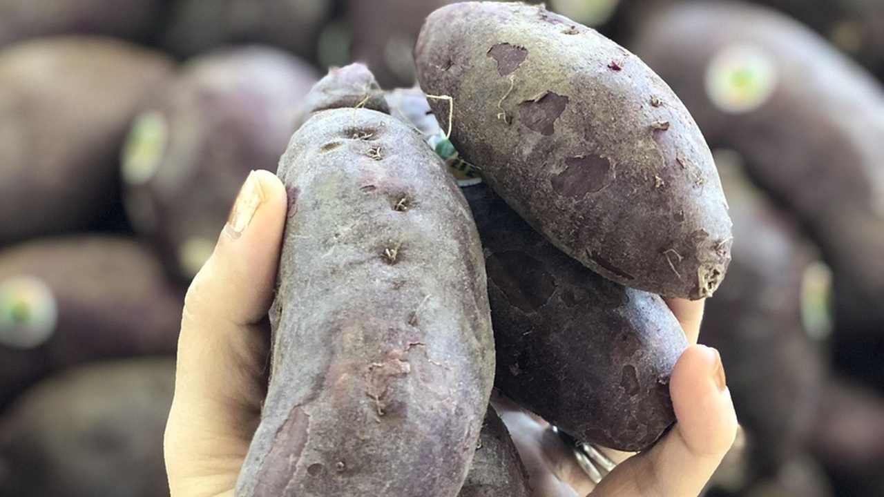 patate dolci americane