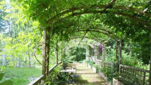 Tettoia, gazebo e pergolato non sono la stessa cosa: scegliete quello giusto per il giardino