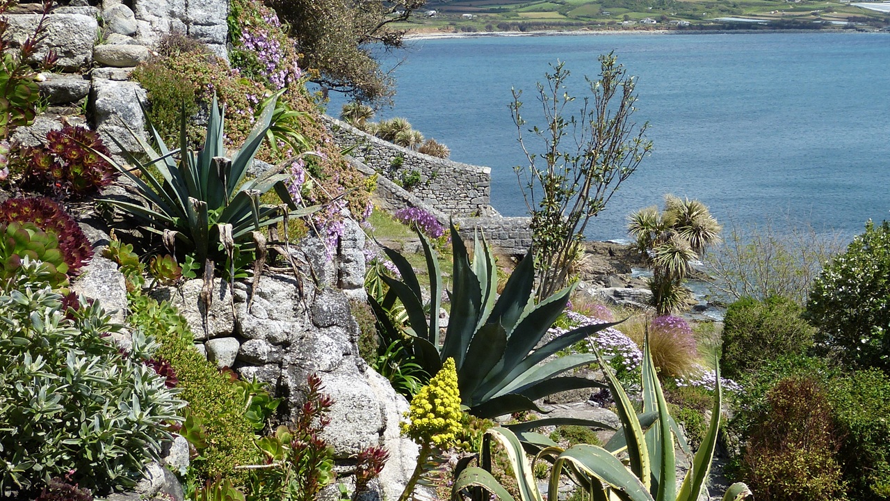 piante resistenti siccità