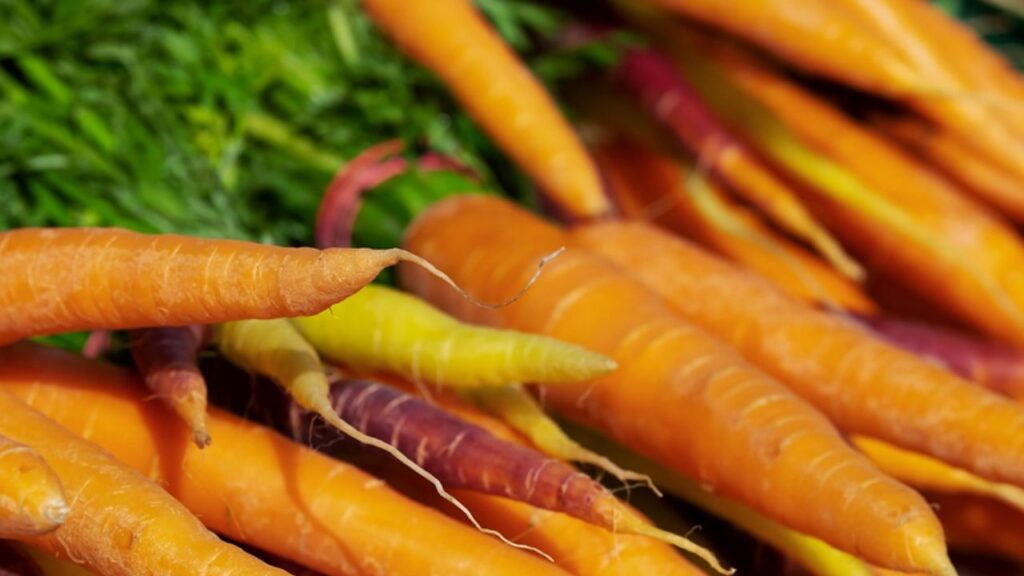 carote di colori diversi