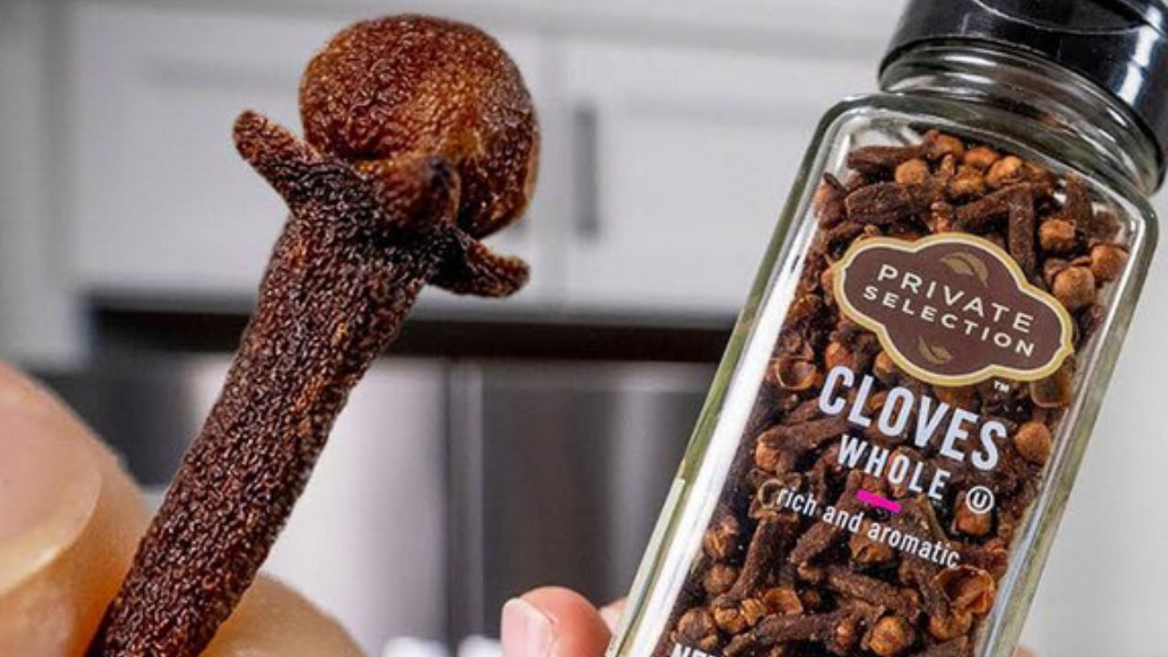 chiodo di garofano ingrandito