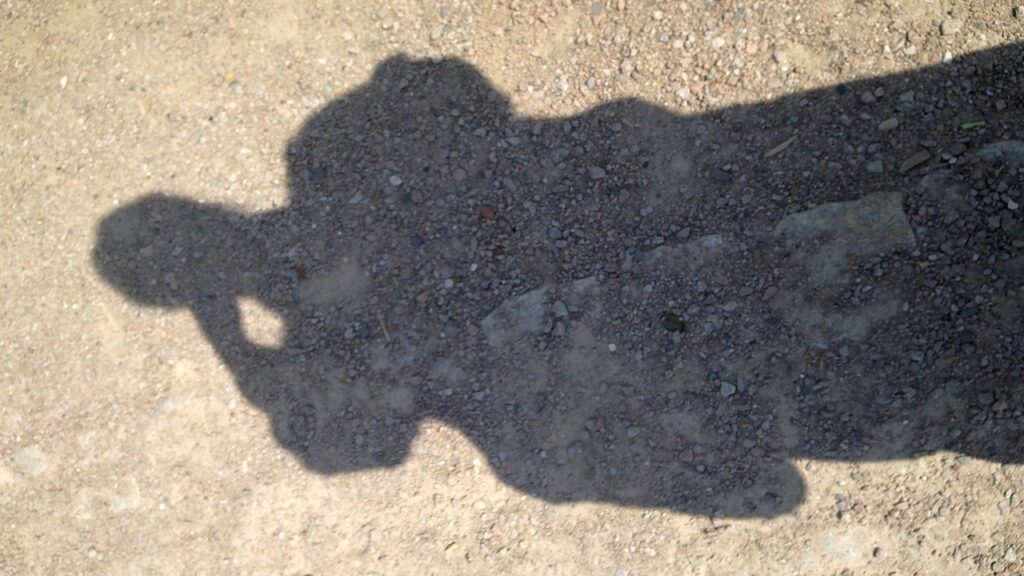 Come riuscire a coltivare qualcosa in un terreno sabbioso