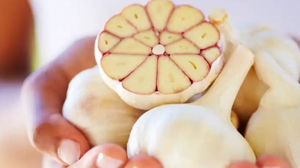 conservazione dell'aglio