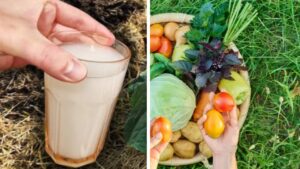 Fertilizzante fai-da-te all’aceto: il trucco semplice per un raccolto più abbondante in tarda stagione
