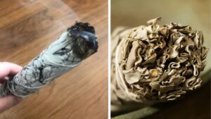 Fumo di salvia: energia pulita per l’anima e per lo spazio