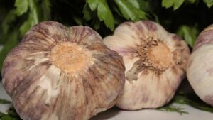 Come conservare l’aglio per mesi: 3 trucchi anti-germoglio che ne preservano l’aroma