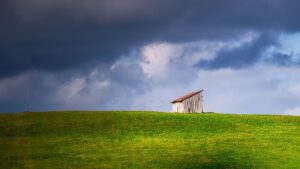Il capanno del giardino non è il posto dove conservare questi oggetti