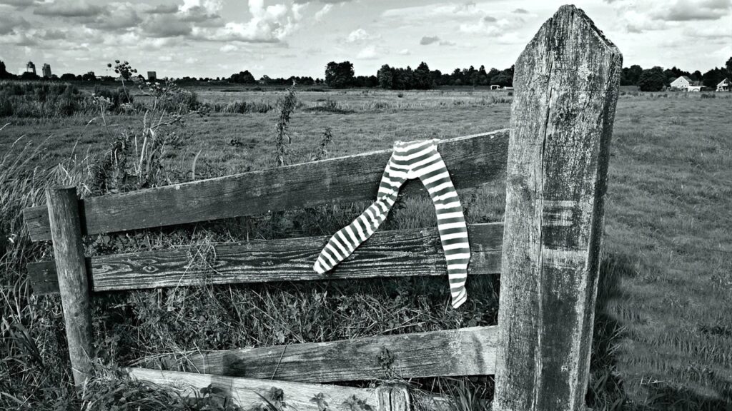 Come riciclare i collant in giardino: i trucchi inaspettati