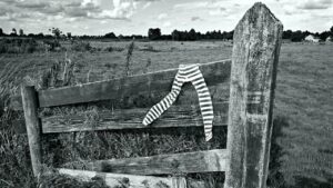 Come riciclare i collant in giardino: i trucchi inaspettati