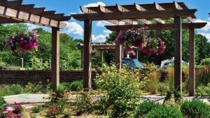 Giardino troppo affollato? Conviene eliminare queste cose