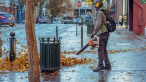 Soffiatore e aspiratore non sono la stessa cosa: ecco cosa usare per pulire il giardino